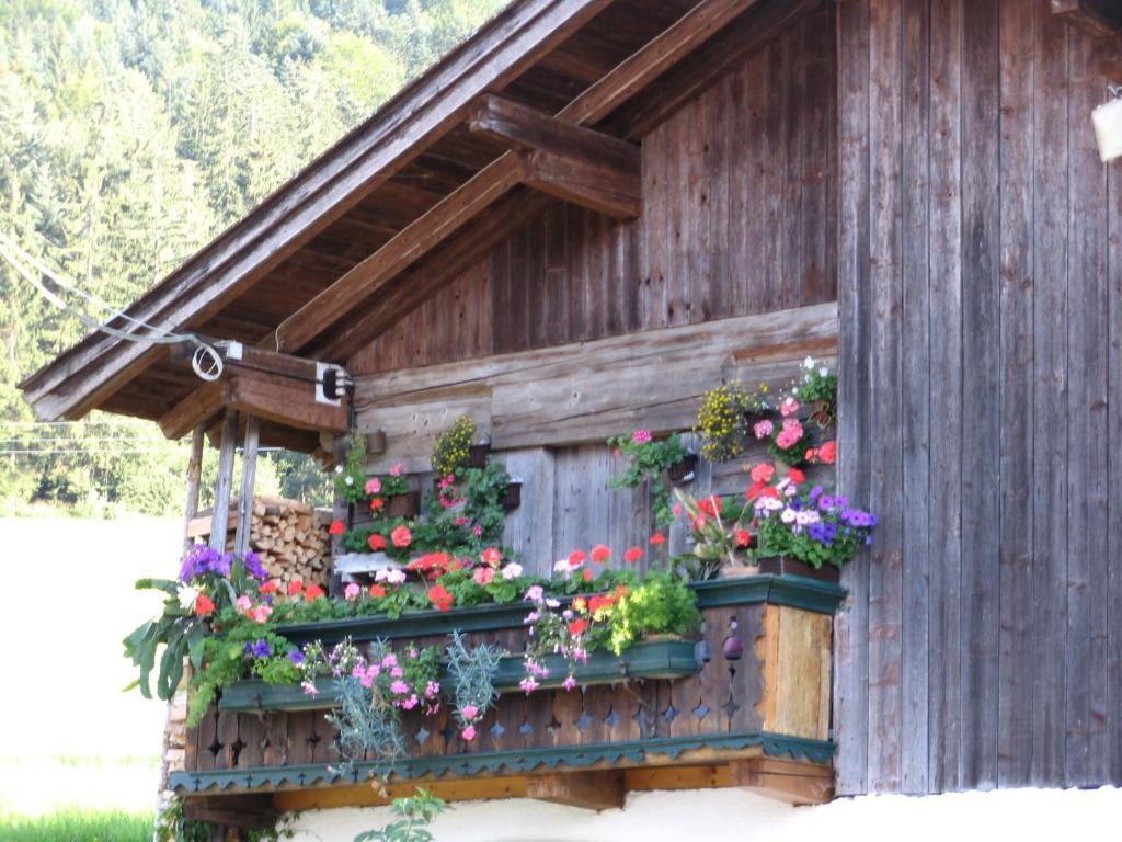 Maison d'hôtes Landgasthof Ledererwirt à Ebbs Extérieur photo